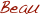 Beau